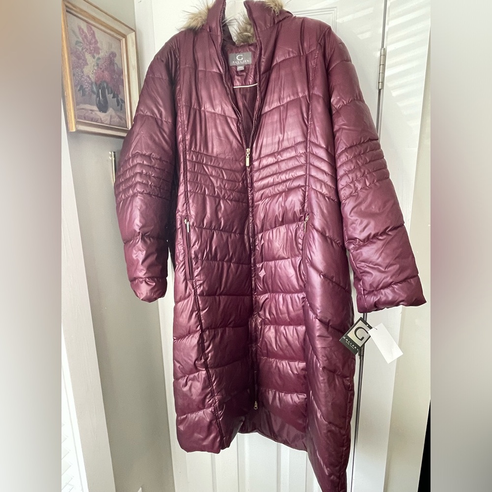 Long Puffer Hooded Down Coat